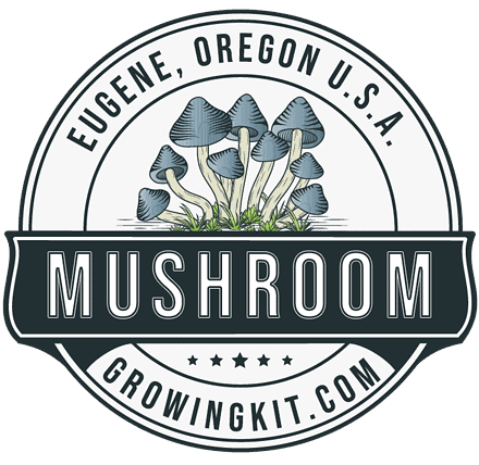 Mushroom Grow Bags: An All Inclusive Guide to Growing