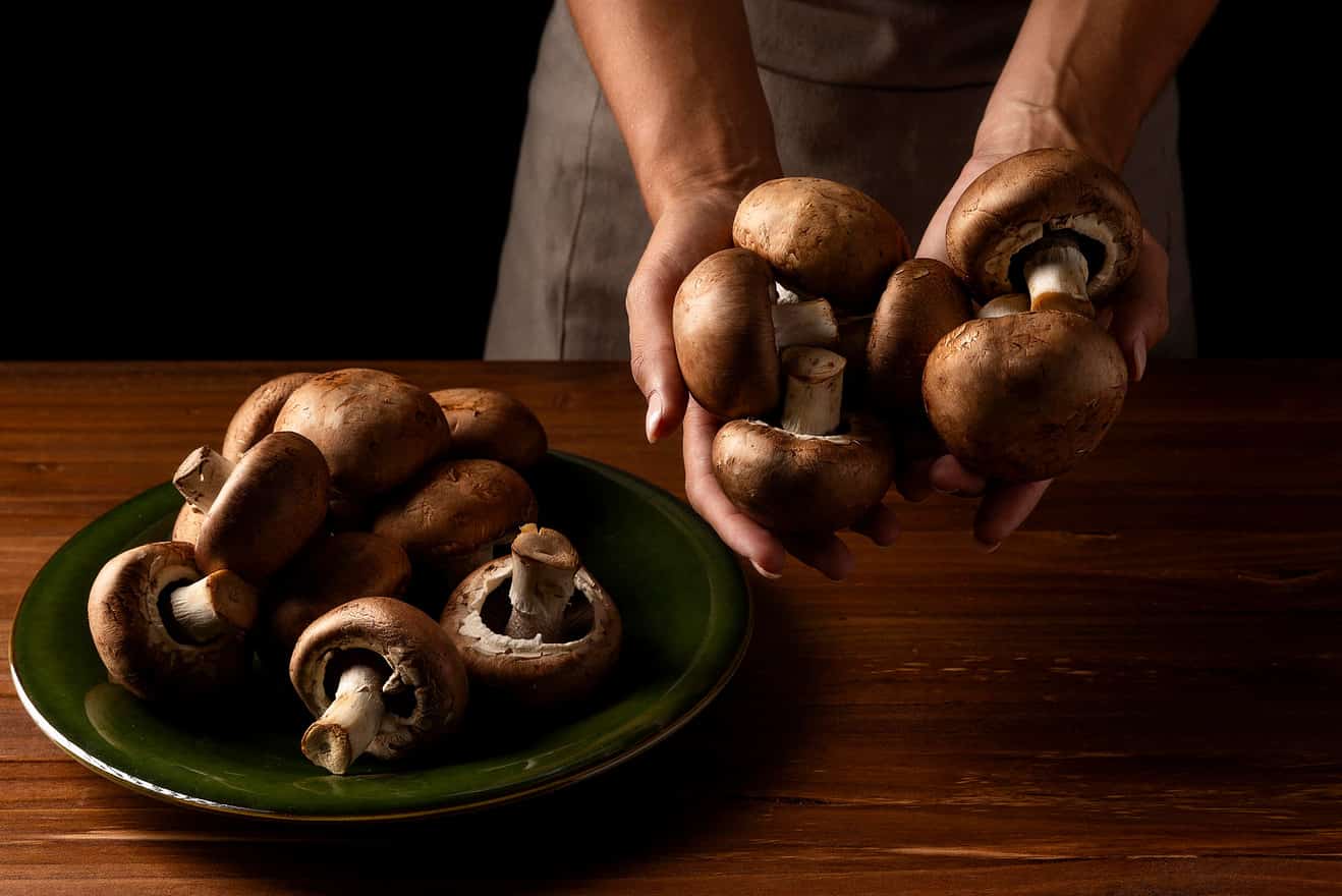 How to Grow Portobello Mushrooms The Best Way to Grow