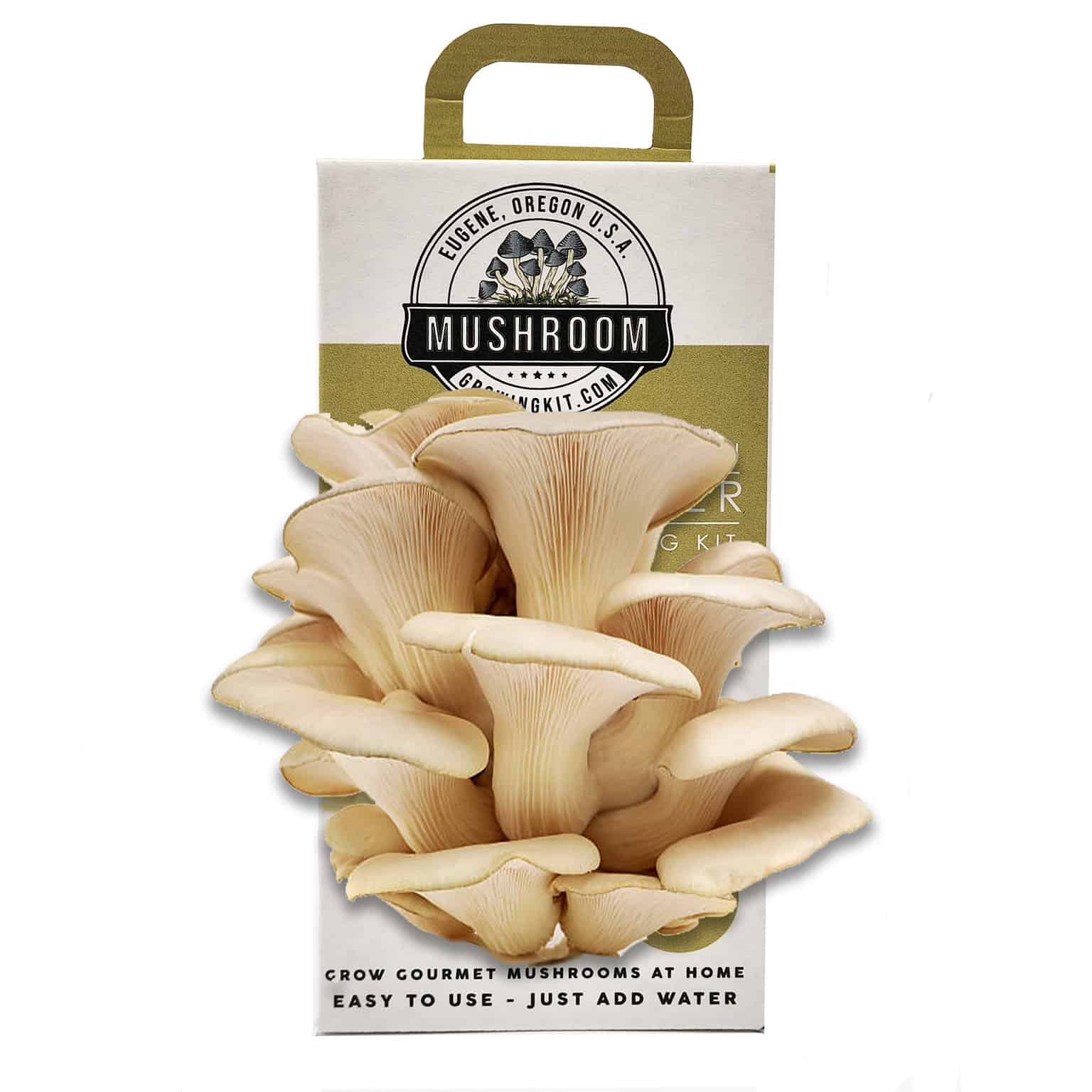 Pearl Oyster Mushroom Growing Kit | Easy Mushroom Grow Box